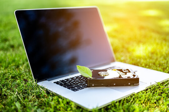Laptop and a hard disk drive with a chia leaf on the grass