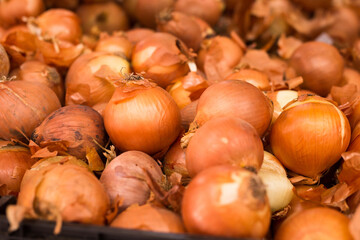 bulb onion in wicker baskets on market counter