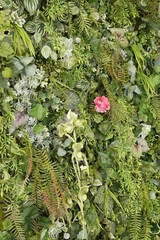 植える, 自然, 花, 庭, 花, 木, 葉, 赤, 植物, サマータイム, 植える, ガーデニング, 全盛期, とぶ, 咲く, 葉, 食べ物, アウトドア, ピンク, 色, 秋, 農学, 公園