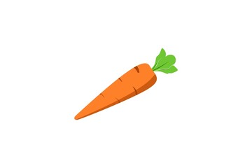 Carrot Icon Sign Flat Illustration on White Background