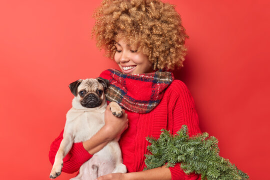 Positive young woman with curly hair holds her pedigree dog returns from Christmas market carries green spurce wreath dressed in winter clothes isolated over red background. Holiday preparation