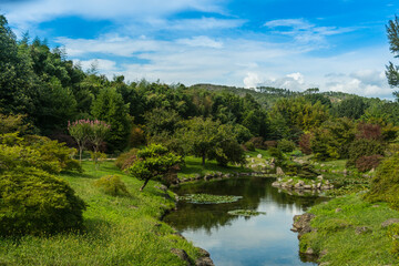 Fototapeta na wymiar botanical park in the south of france