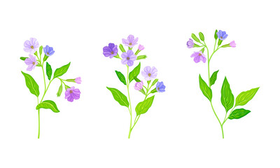 Fototapeta na wymiar Pink and purple summer delicate garden flowers set vector illustration