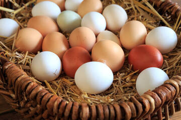 Korb voller frischer Eier
