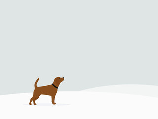 A dog with a collar stands alone in the snow
