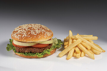 hamburger with fries