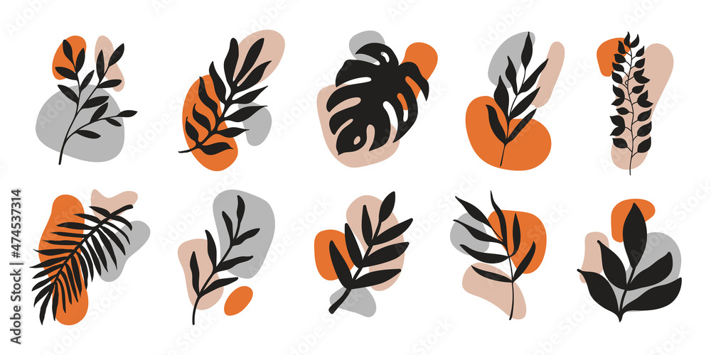 Aufkleber vector hand drawn leaves with colorful various organic shapes isolated on white background. botanica