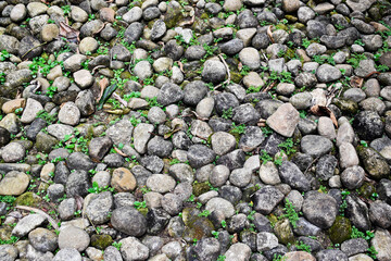 Stone floor in the park