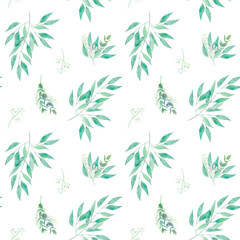 Watercolor seamless botanical pattern with eucalyptus greenery and herbs. Hand drawn background with green eucalyptus branches for prints, textile, wrapping paper and wedding decoration.