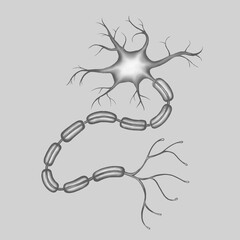 Neuron in grayscale on gray background