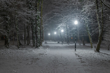 Parkowa alejka w zimową śnieżną noc. Widoczność jest ograniczona przez padający śnieg.