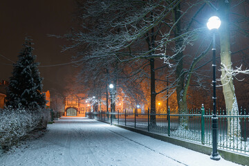 Parkowa alejka w zimową śnieżną noc. Widoczność jest ograniczona przez padający śnieg.