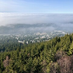 Obraz premium Großer Hermannsberg im Herbst
