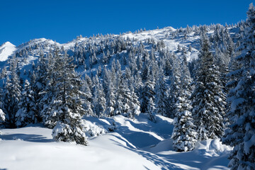 Perfekt Winter Day in the Valley of Montafon, Vorarlberg, Austria