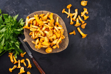 Freshly picked up and cleaned chanterelles offered with parsley as top view on a rustic wooden board