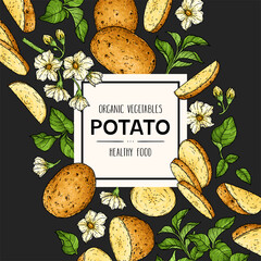 Vector hand drawn background with organic potato