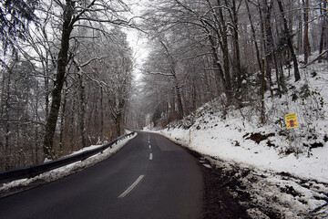 road in winter Slovenia in winter road in the forest