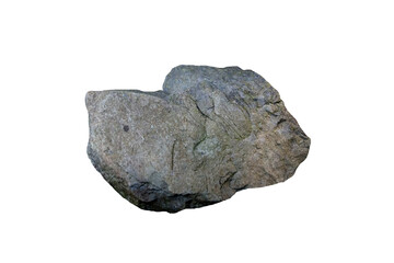 Fine-grain gray sandstone rock with brachiopod fossil isolated on white background. Shell fossils...