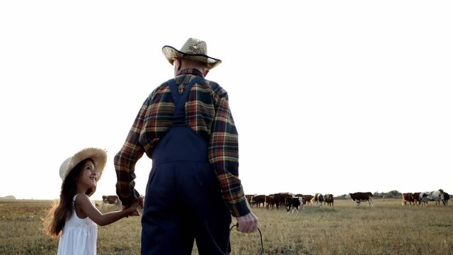 Happy family walk : grandfather, granddaughter in natural cow milk farm field