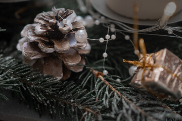 New Year's background with a Christmas tree branch and a cone