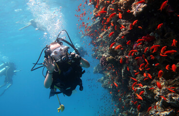 Fototapeta na wymiar Diving in the Red Sea in Egypt, tropical reef