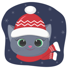A cute kitten of the British breed is dressed in a hat and a scarf in winter. Against the background of the night sky and snowflakes.