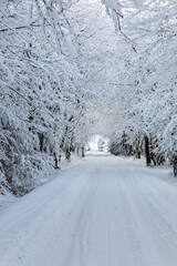 Winter road 