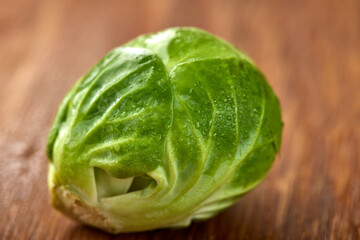 Close up of one fresh raw organic green brussel sprout