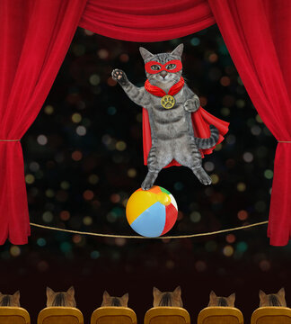 A cat gray tightrope walker in a red cloak is on a ball in a circus.