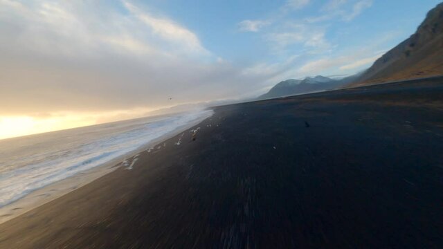 Aerial fpv view of black beach Hvalnes Natural Reserve Beach in Iceland.