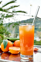 Summer orange cocktail. Fresh healthy citrus juice with ice and ripe bio citrus fruits on steel tray in nature background. Organic Sicilian oranges.