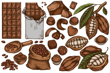 Vector set of hand drawn colored cocoa beans, cocoa, chocolate, chocolate candies