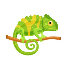 Fototapeta premium Chameleon on a branch. Funny character, African animal. Vector illustration