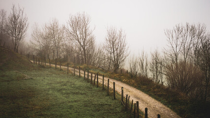 Path surrounded by fog in a mysterious atmosphere
