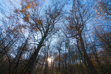 Cityscape of Selva de Irati (Navarra, Spain)