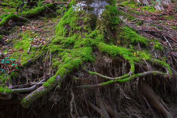 Cityscape of Selva de Irati (Navarra, Spain)