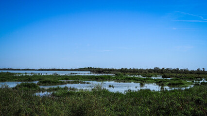 Ornithological Park of Pont de Gau