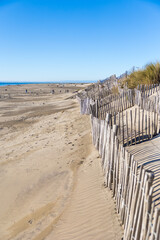 Vue sur la plage de l&rsquo;Espiguette depuis les dunes de sables prot&eacute;g&eacute;s par des palissades et des gramin&eacute;es (Occitanie, France)