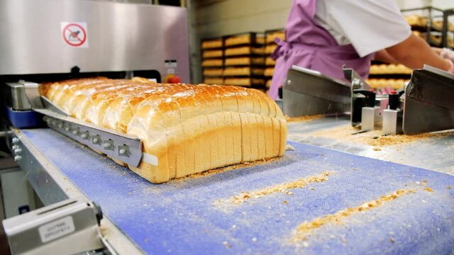 Loafs of bread in a bakery on an automated conveyor belt