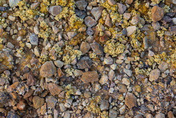 Sulphur crystals in mineral soil close up