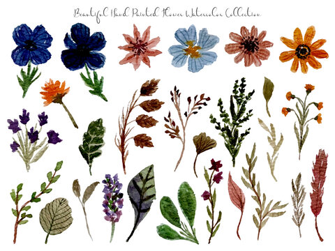 set of flowers and leaves