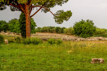 Ruin of a Greek temple at Paestum. Beautiful view of famous Paestum Temples Archaeological UNESCO World Heritage, scenic golden evening light at sunset, Province of Salerno, Campania, Italy