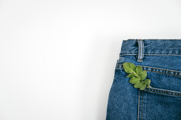 Sustainable fashion, Circular economy, denim eco friendly clothing. Green leaf plant on blue denim jeans background