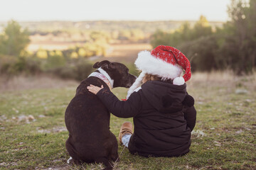 Little girl with a staffordshire bull terrier