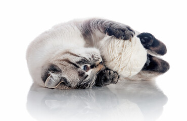 The cat is playing with a ball of woolen threads on a white background.