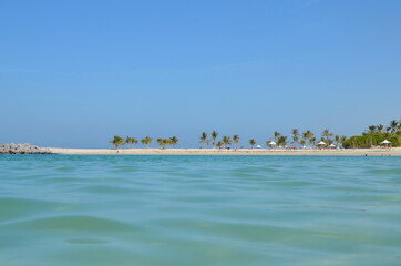 beach with palm trees and blue sky. vacationers and swimming people. place for travel and tourism. Backgrounds