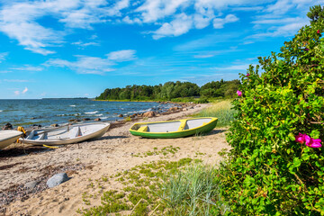 Baltic Sea coastline. Estonia, EU - obrazy, fototapety, plakaty