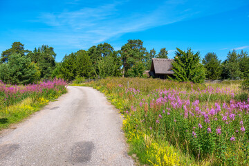 Summer landscape. Estonia, EU - 474567933