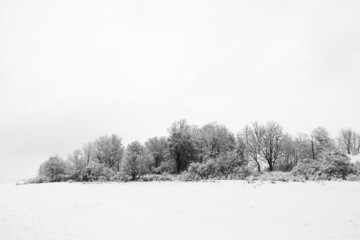 Obraz premium Winter