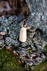 A yellow stone